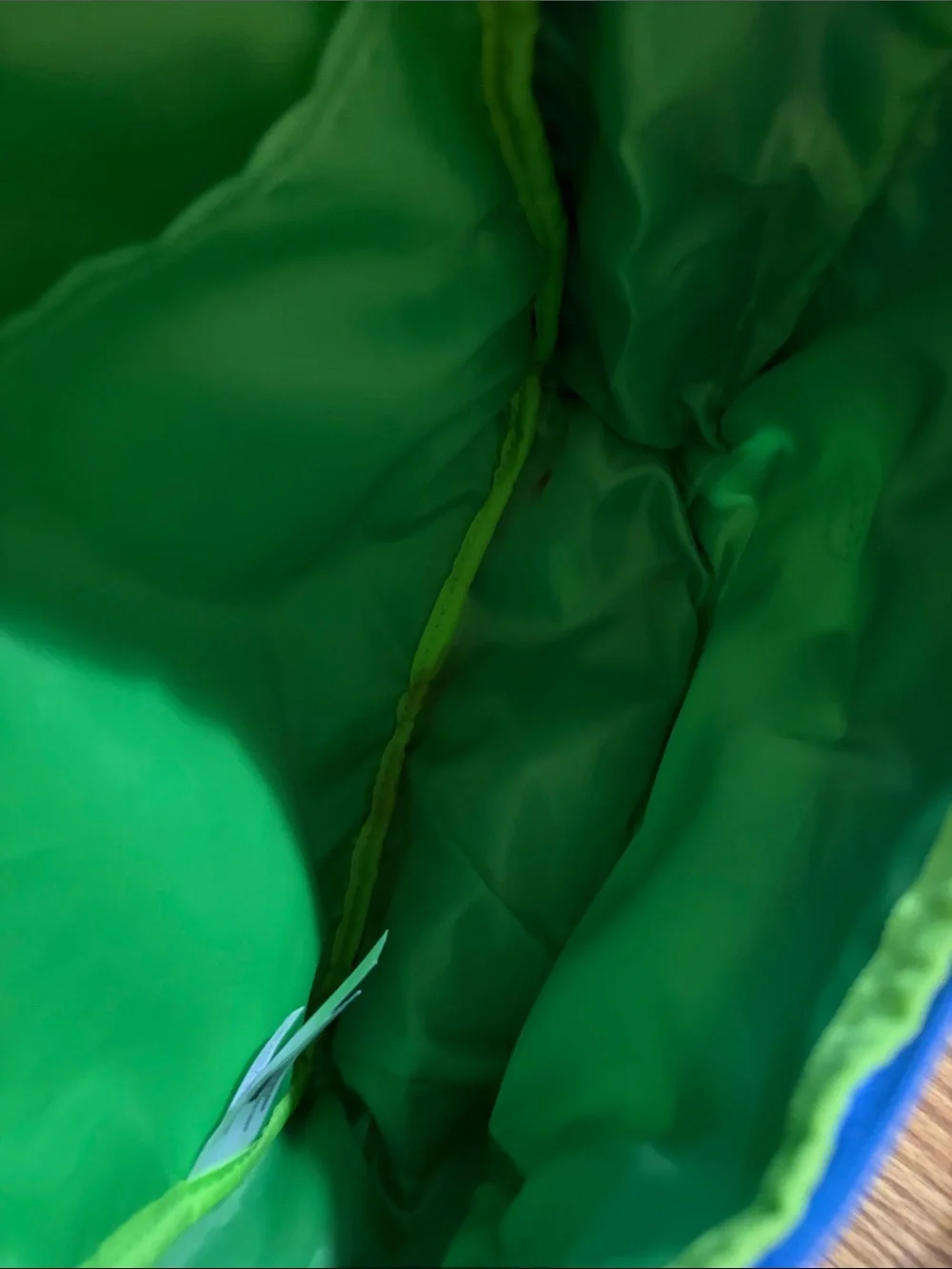 Skip Hop Blue and Green Dino Kids Backpack